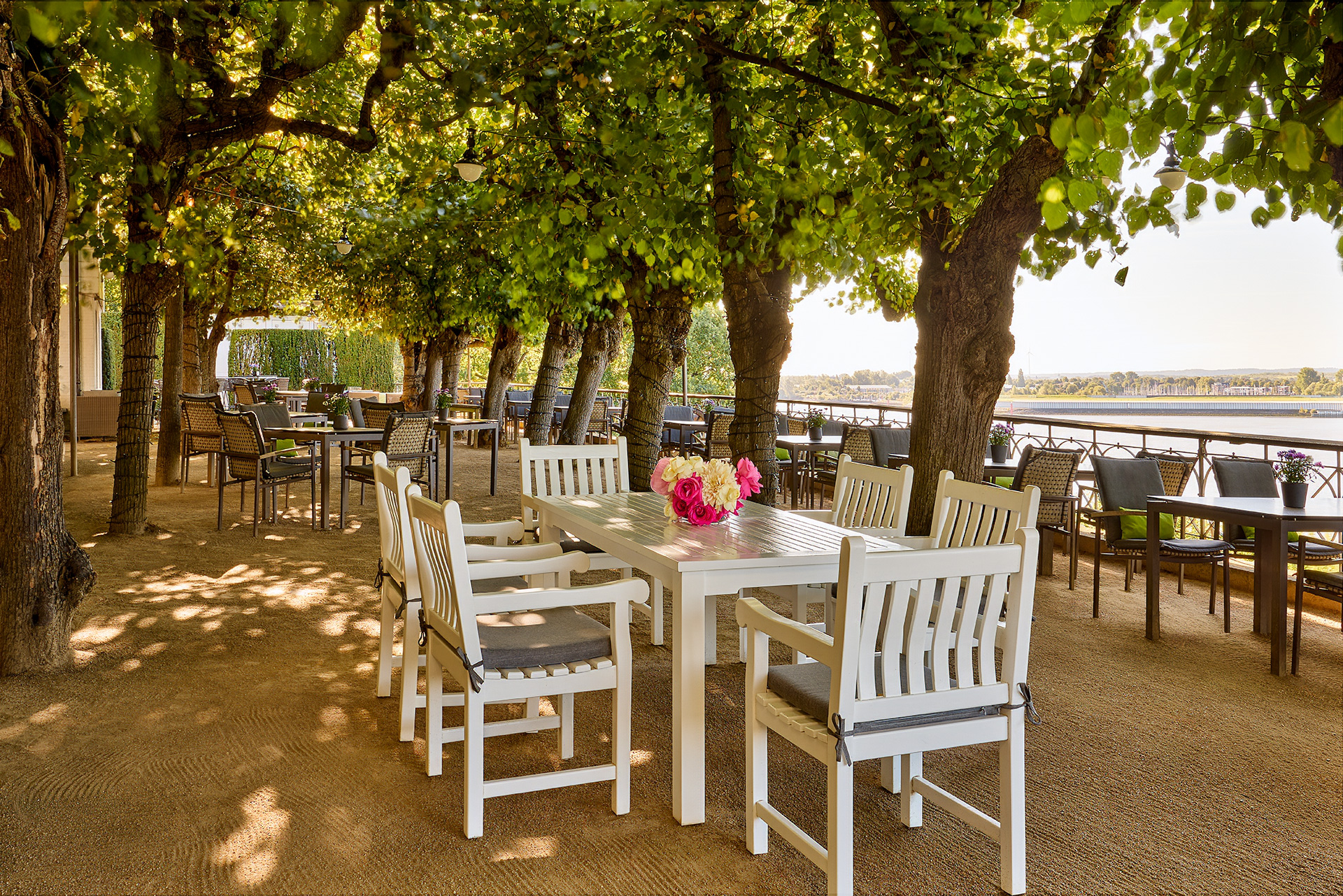 Chef de Rang Bar (m/w/d) Wohnhalle und Lindenterrasse - Stellenausschreibung